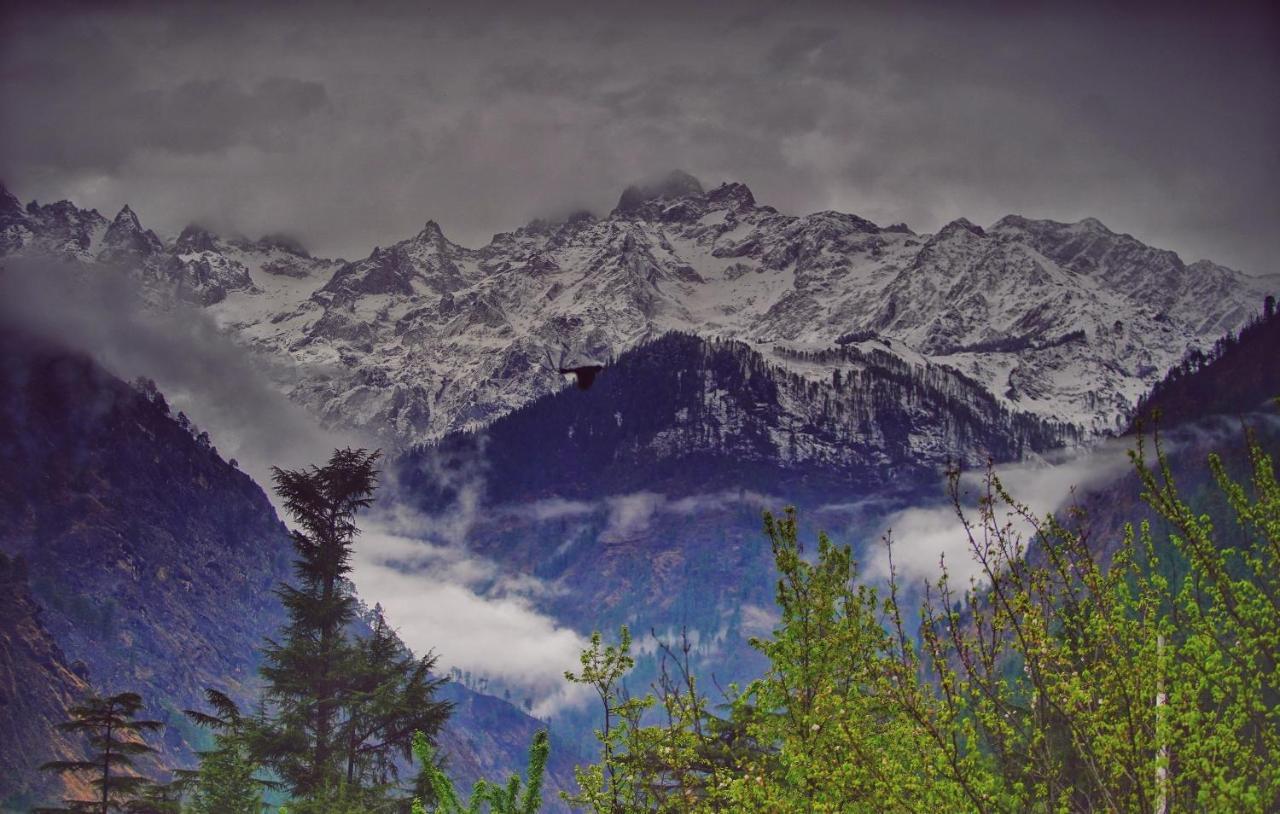 Memoir Homestay Kasol Buitenkant foto