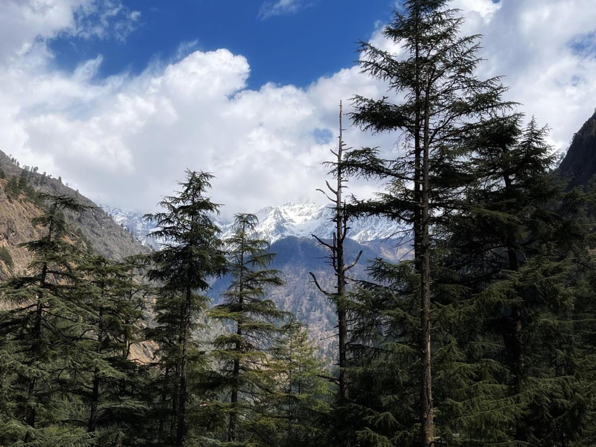 Memoir Homestay Kasol Buitenkant foto